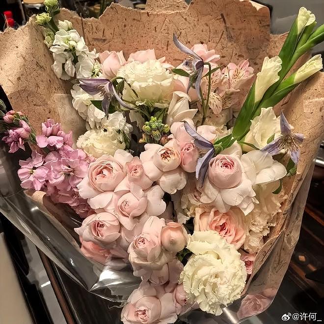 何晴冥诞,儿子发文替爸爸继母鸣不平,称他们为治疗母亲拼尽全力(组图) - 14