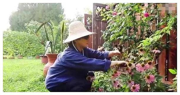 章泽天播客曝光刘嘉玲豪宅,姜研、霍思燕的也不小(组图) - 35