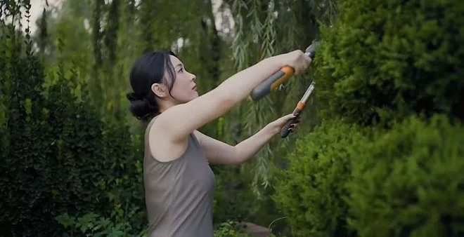 章泽天播客曝光刘嘉玲豪宅,姜研、霍思燕的也不小(组图) - 26