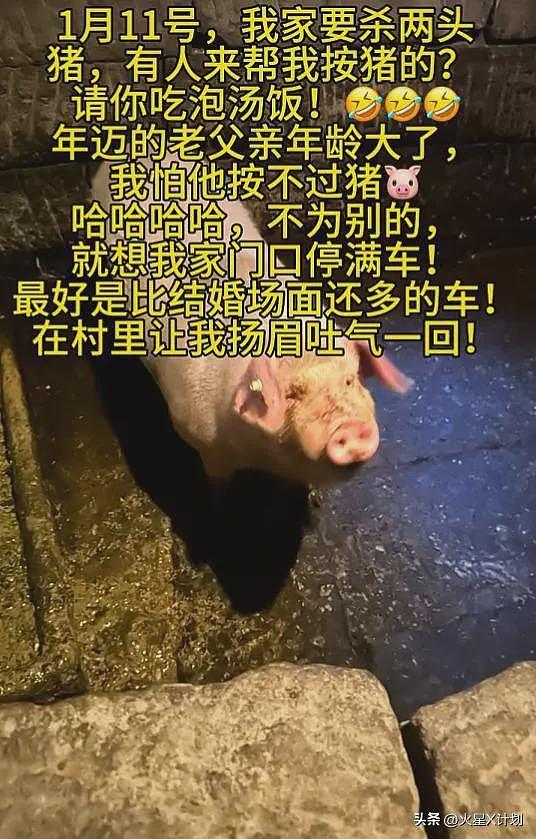 合川杀猪宴后续:呆呆“底裤”被扒,担心一幕发生,官方连夜下场(组图) - 4