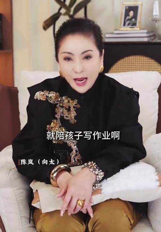 向太陈岚心疼80后父母责任重，“你的能力才是孩子的底气”（组图） - 5