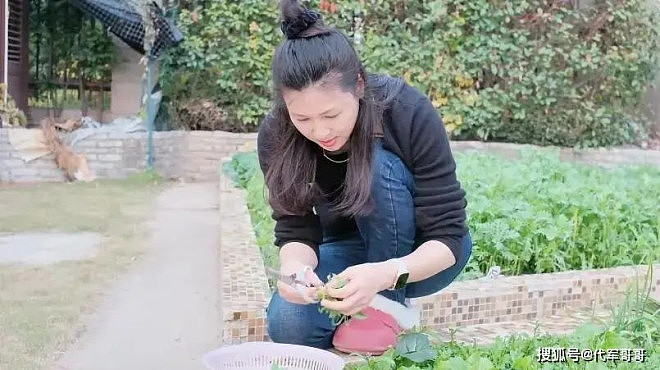 46岁童蕾近况曝光！老公被判刑带女儿回农村生活（组图） - 6