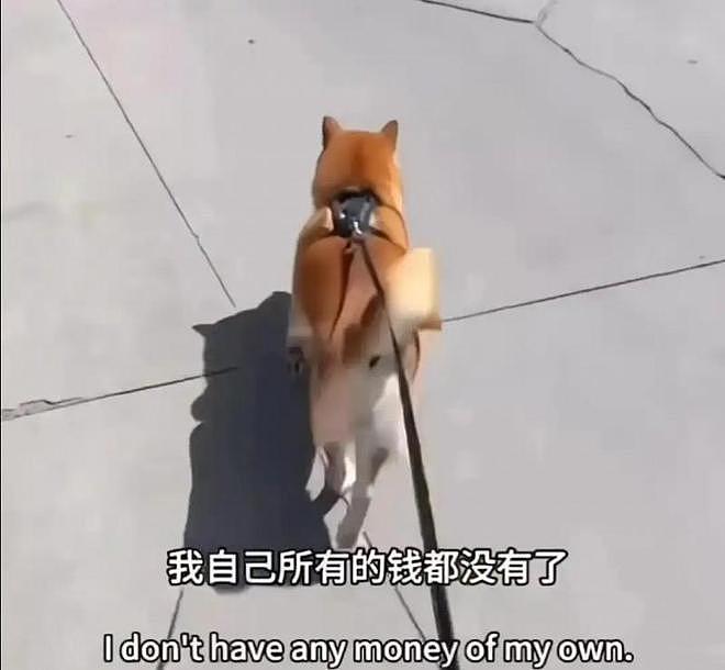 郑爽近照曝光星味全无,家中装修豪华惊现儿童玩具,日子并不可怜(组图) - 2