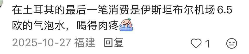 第一批免签去土耳其的中产,已经破产了(组图) - 5