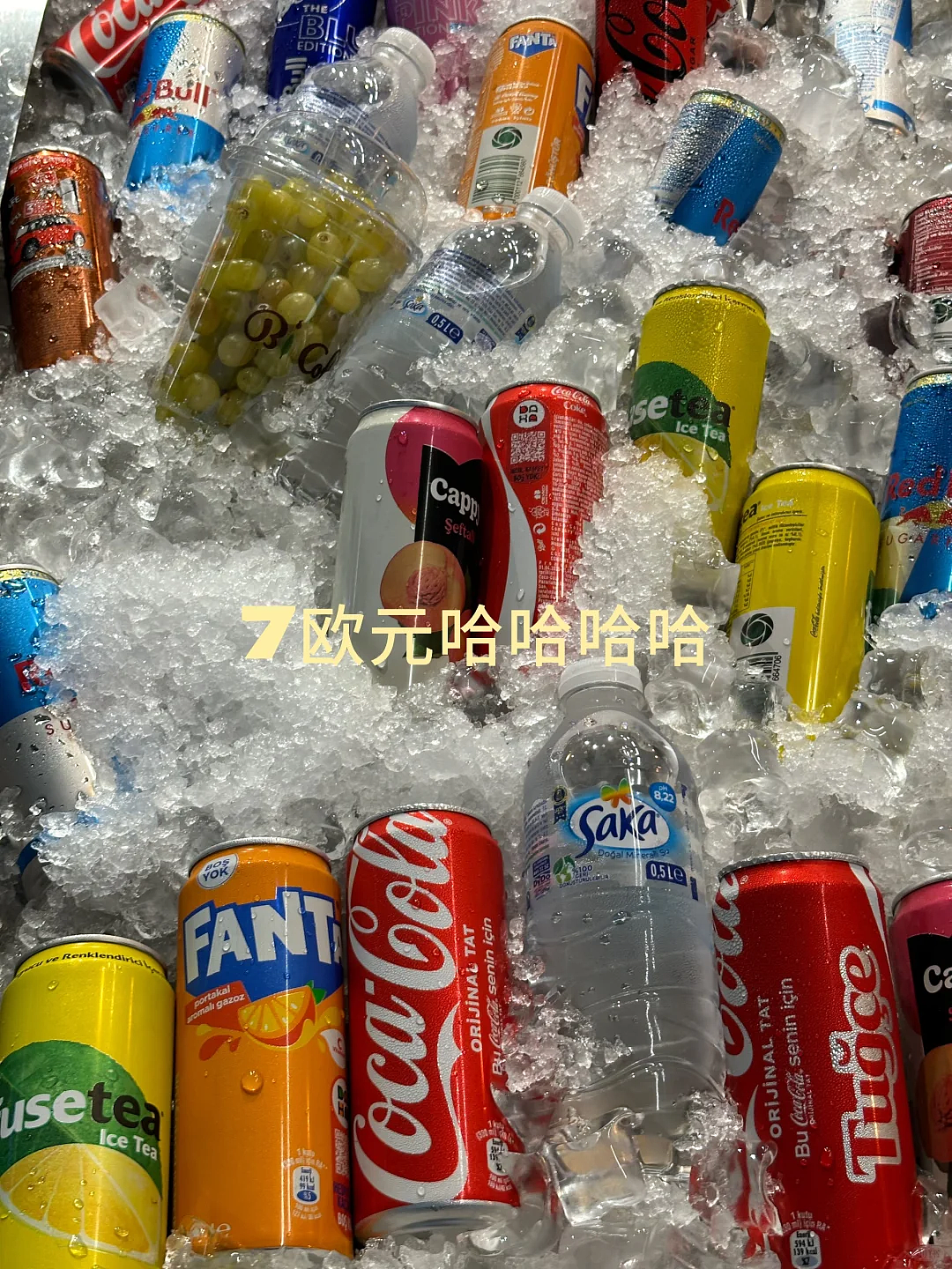 第一批免签去土耳其的中产,已经破产了(组图) - 8
