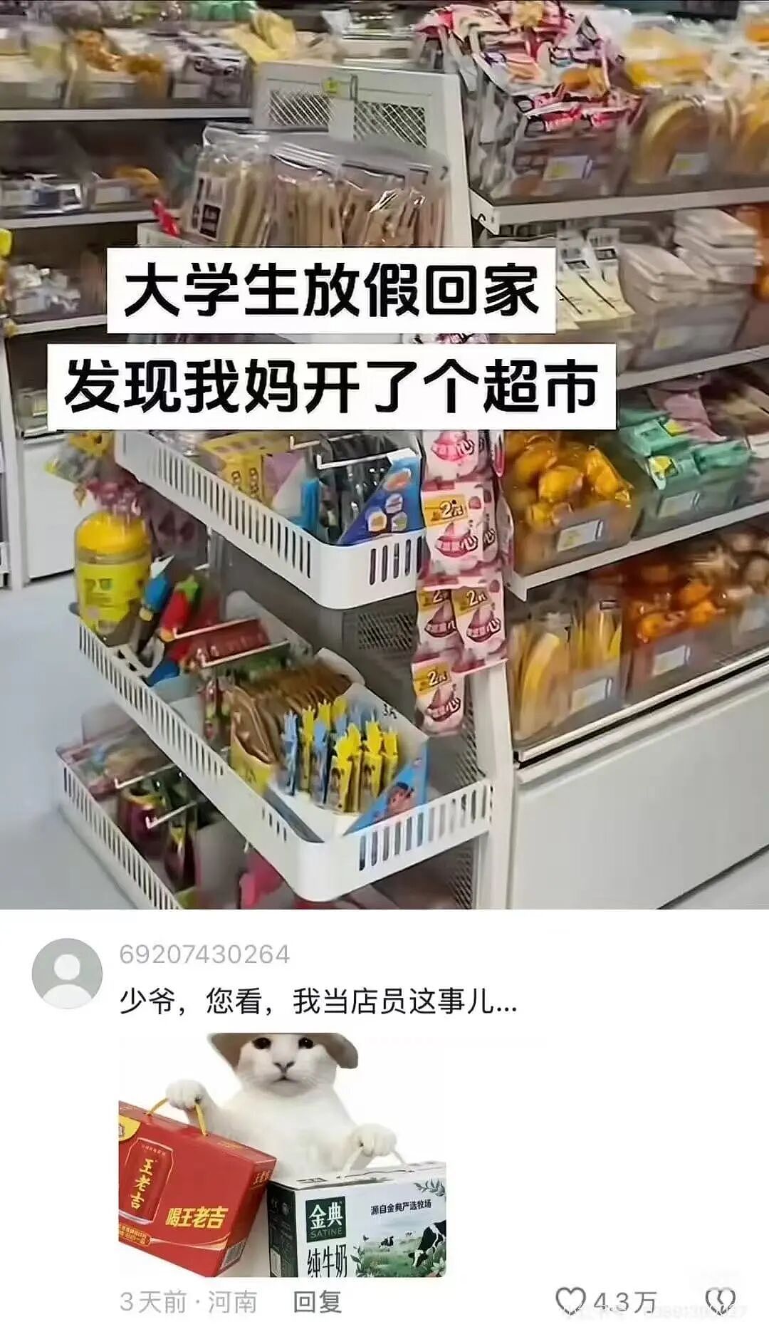 【爆笑】“当我的父亲是位顶级‘魅魔’时…？”啊啊啊，大祙子，你说的是中文吗（组图） - 13