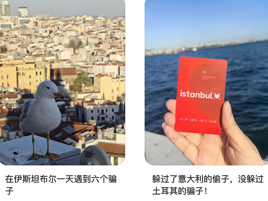 第一批免签去土耳其的中产,已经破产了(组图) - 32