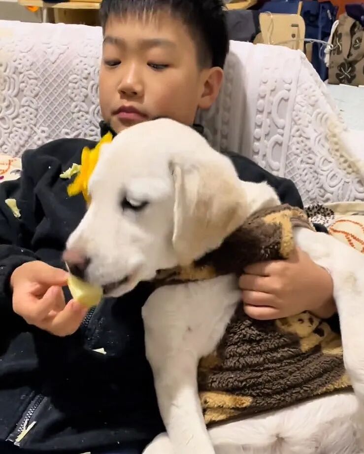 【宠物】狗子不仅能嗑瓜子，换还能剥花生皮、嚼甘蔗，毛孩子骄傲：区区雕虫小技，谁还不是资深老吃家了…（组图） - 13