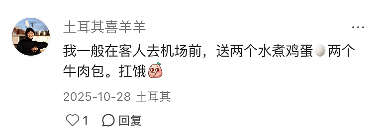 第一批免签去土耳其的中产,已经破产了(组图) - 11