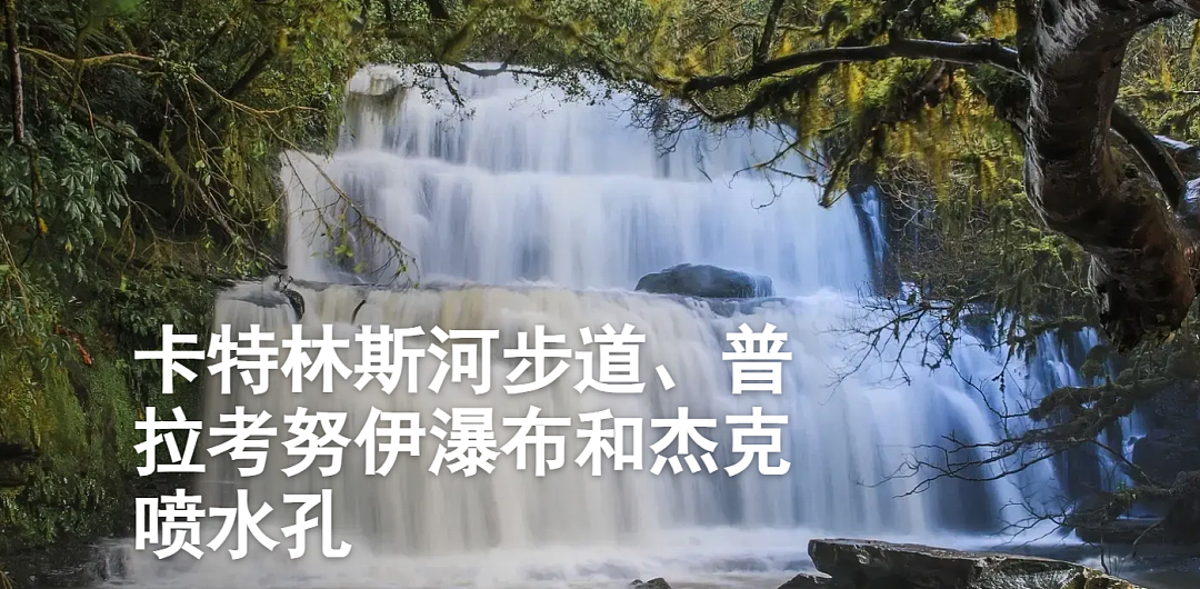 定了！2026NZ打工度假签开放日敲定！中国申请人必看，一生一次的机会别错过（组图） - 12