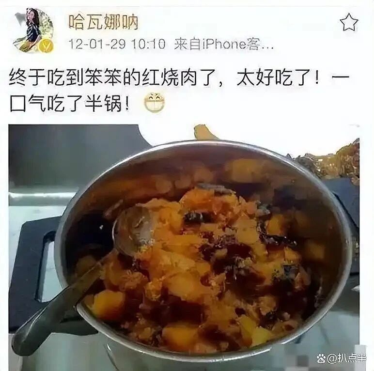王石田朴珺，又演上了？（组图） - 16