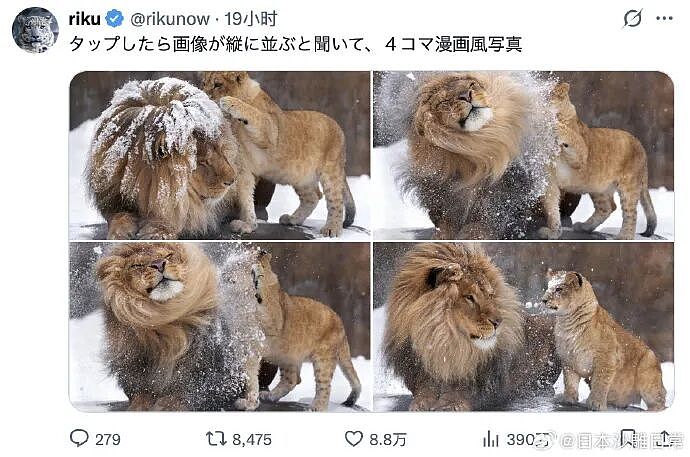 【爆笑】男朋友花7000送我一头猪玩具？网友：哈哈哈哈出乎意料（组图） - 50