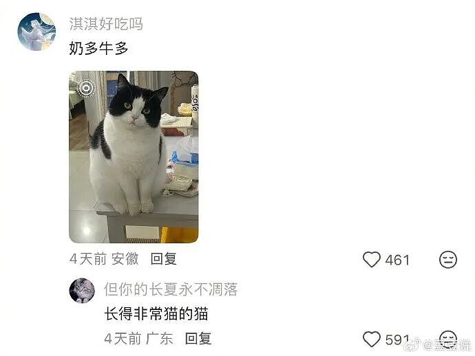 【爆笑】男朋友花7000送我一头猪玩具？网友：哈哈哈哈出乎意料（组图） - 13