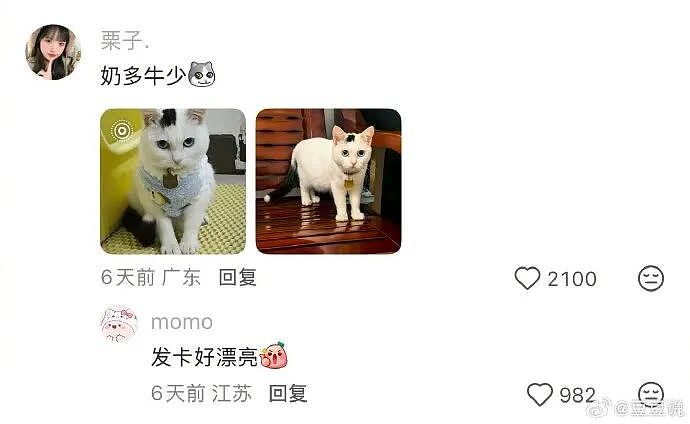 【爆笑】男朋友花7000送我一头猪玩具？网友：哈哈哈哈出乎意料（组图） - 12