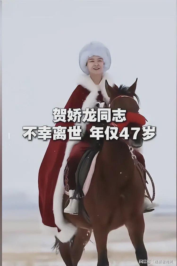 贺娇龙去世后续！五杯酒引发热议，总结像墓志铭，因网曝想过自杀（组图） - 3