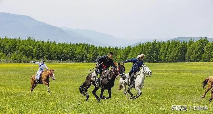 曝贺娇龙丧命关键原因，被马蹄击碎后脑勺拖行，最终器官衰竭离世（组图） - 12
