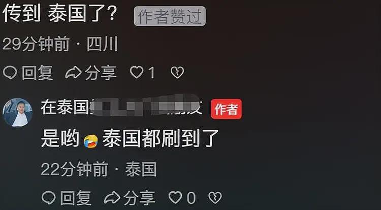 丢人丢到国外了？丰城万人杀猪饭大翻车，举办者回应曝真相！（组图） - 9