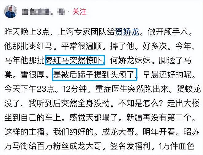 好友曝贺娇龙事发细节!坠马后脚卡在马镫上,被马蹄踢到头部(组图) - 4
