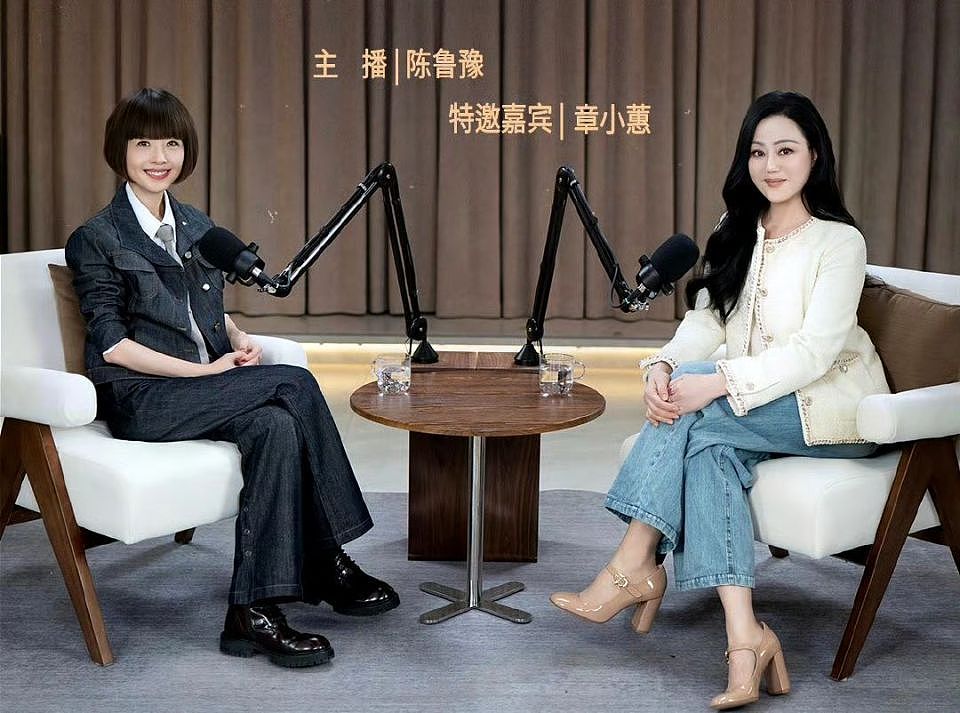 岁月不败美人!62岁章小蕙参加鲁豫访谈,气质优雅颜值超高(组图) - 3