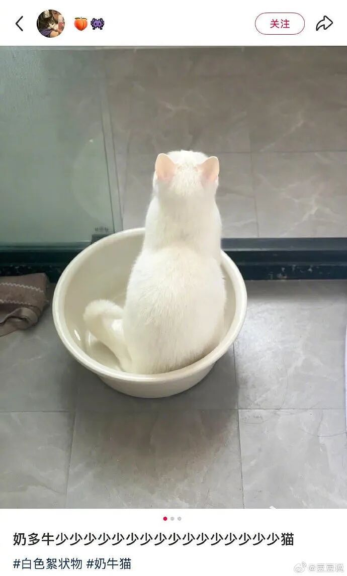 【爆笑】男朋友花7000送我一头猪玩具？网友：哈哈哈哈出乎意料（组图） - 9