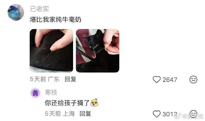 【爆笑】男朋友花7000送我一头猪玩具？网友：哈哈哈哈出乎意料（组图） - 11