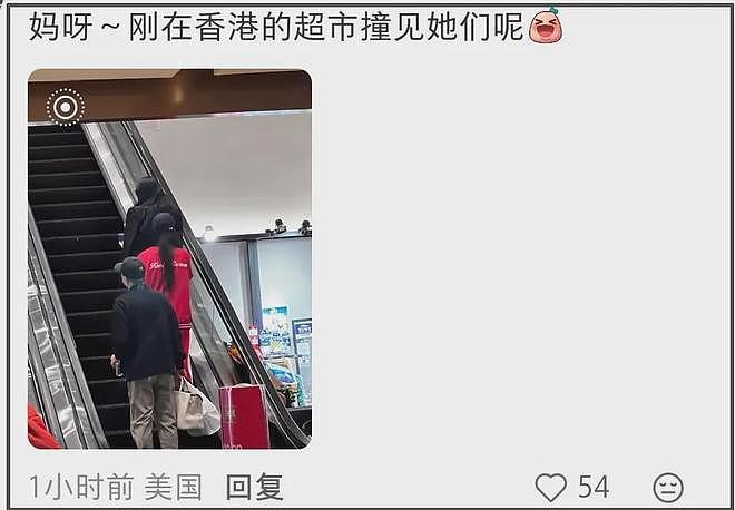 李湘账号被封牵扯出多位明星！女儿王诗龄亦受牵连（组图） - 26