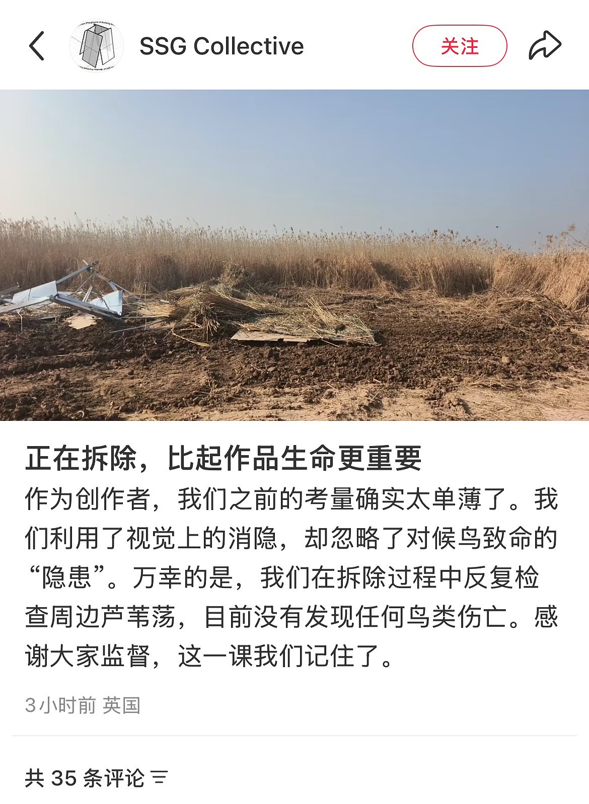 洞庭湖镜面装置被斥人造候鸟屠场，官方致歉兼拆除（组图） - 8