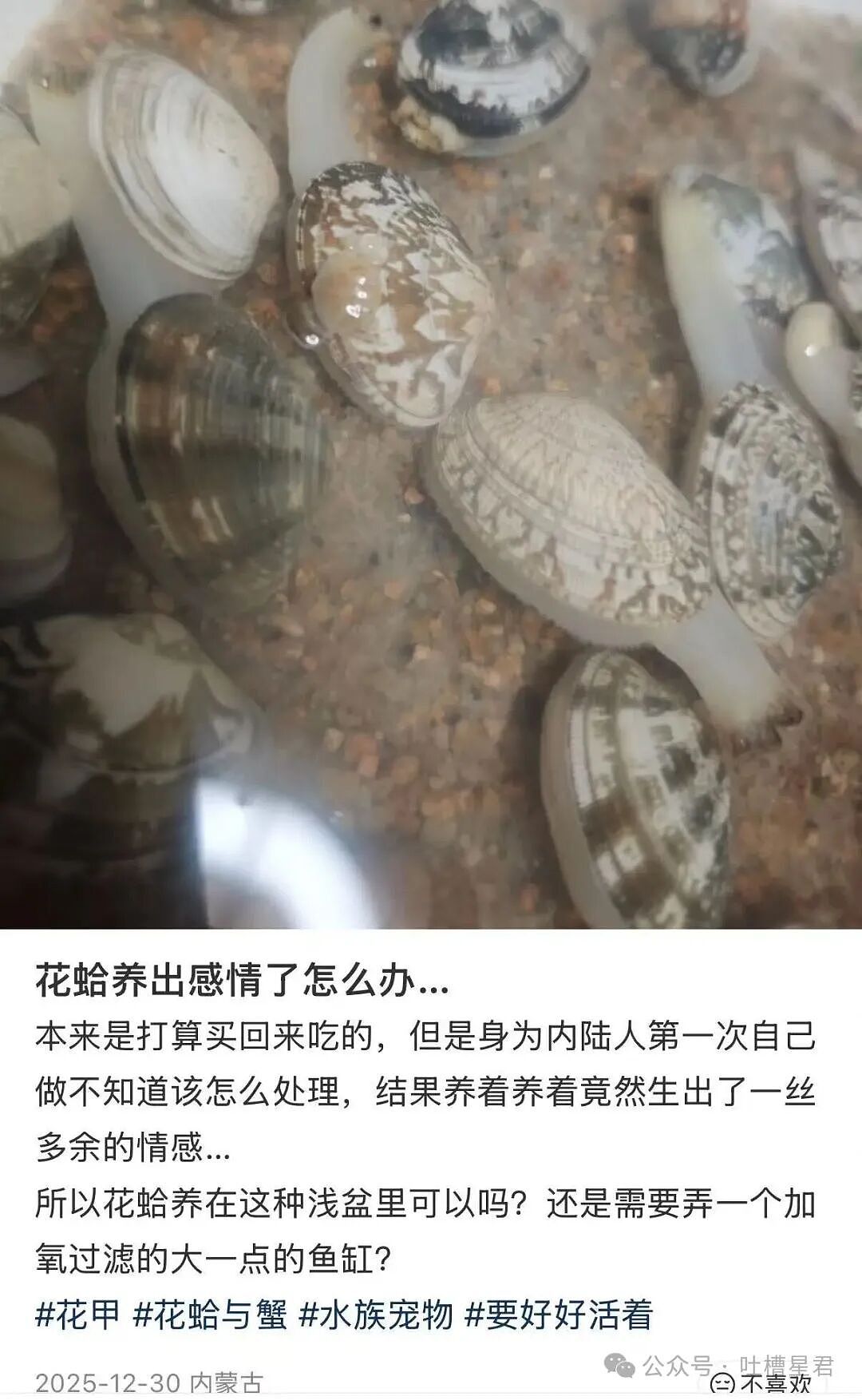 【爆笑】当我的父亲是位顶级‘魅魔’时…?啊啊啊大祙子你说的是中文吗(组图) - 20