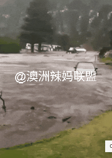 “差10秒就没命了”！大洋路突发罕见灾害，多个房车营地被迫疏散，数百名居民和游客无家可归（组图） - 6