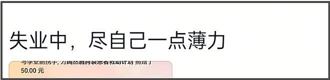 李亚鹏医院有救了！单平台募捐已破900万，网友建议赶紧换地租（组图） - 11