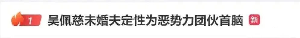 操盘赌场！吴佩慈68岁“婆婆”在美被捕，其子纪晓波靠做“叠码仔”起家，曾被定性为恶势力团伙首脑（组图） - 3