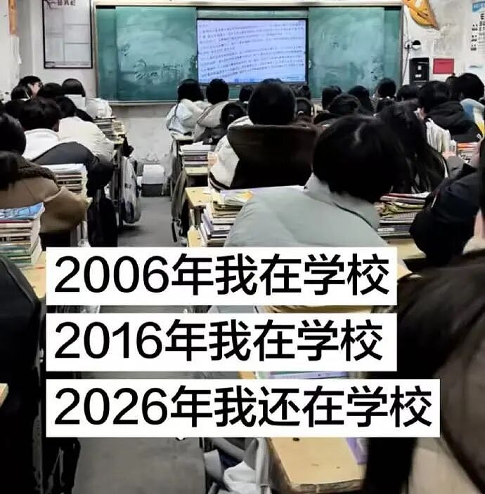 【爆笑】男朋友花7000送我一头猪玩具？网友：哈哈哈哈出乎意料（组图） - 39