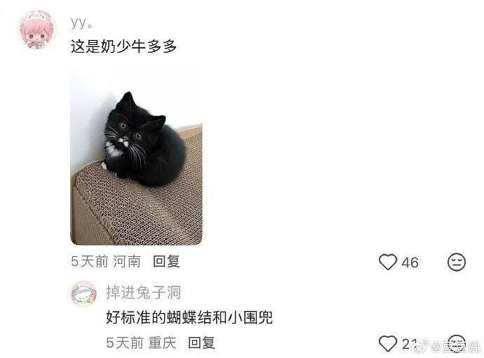 【爆笑】男朋友花7000送我一头猪玩具？网友：哈哈哈哈出乎意料（组图） - 16