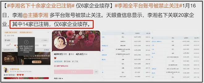 李湘账号被封牵扯出多位明星！女儿王诗龄亦受牵连（组图） - 6