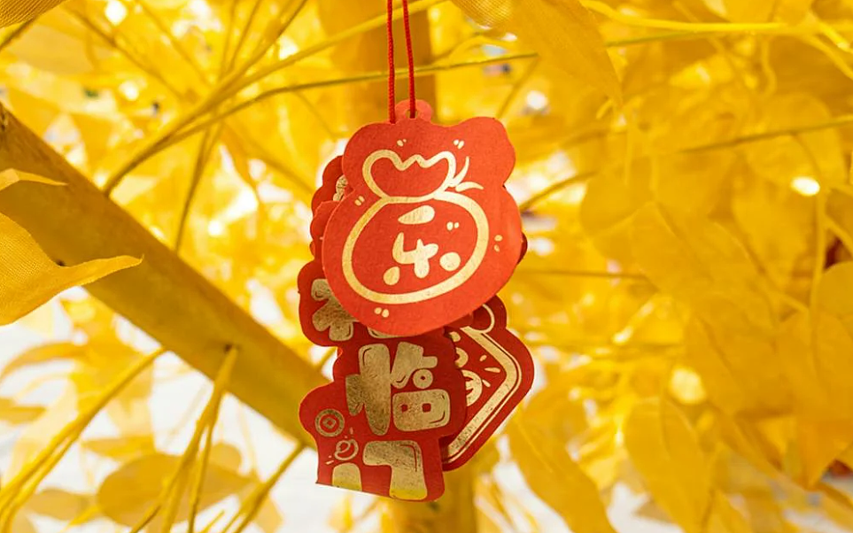 “没有中国制造”当卖点!新西兰服装品牌玩大了,辩称“没有针对中国人”(组图) - 8