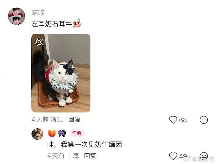 【爆笑】男朋友花7000送我一头猪玩具？网友：哈哈哈哈出乎意料（组图） - 15