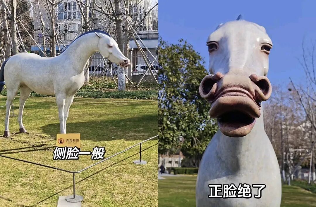 【爆笑】“冬天能把人逼疯到什么程度？”哈哈哈哈哈哈哈哈哈哈这届网友别太牛（组图） - 57