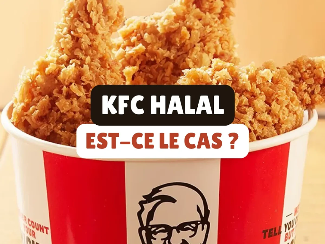 法国KFC要转型了?24家门店率先开卖“清真炸鸡”,立刻被骂上热搜(组图) - 8