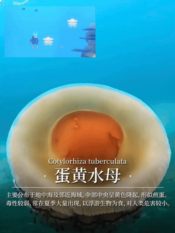 【爆笑】“冬天能把人逼疯到什么程度？”哈哈哈哈哈哈哈哈哈哈这届网友别太牛（组图） - 74