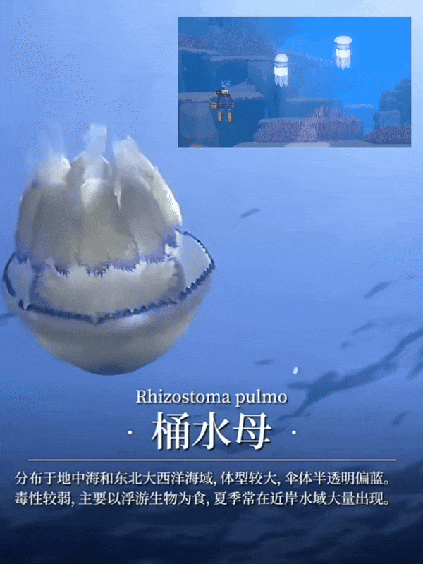 【爆笑】“冬天能把人逼疯到什么程度？”哈哈哈哈哈哈哈哈哈哈这届网友别太牛（组图） - 75