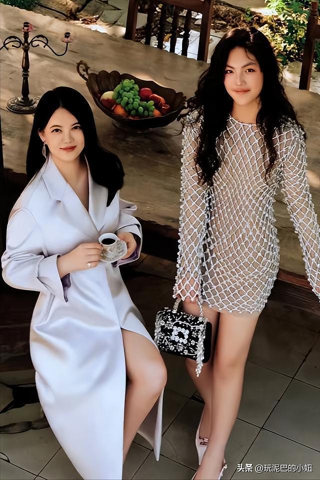 拔出萝卜带出泥！李湘全网被禁关，王诗龄身份遭质疑，多家公司注销（组图） - 13
