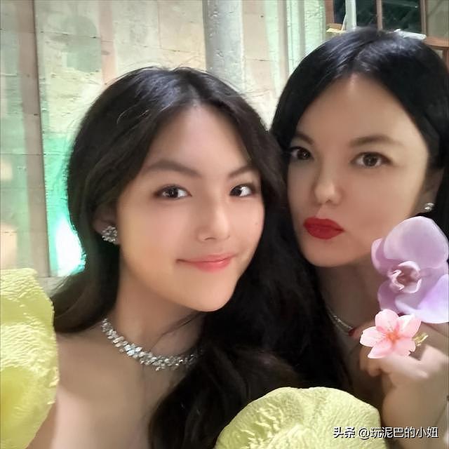 拔出萝卜带出泥！李湘全网被禁关，王诗龄身份遭质疑，多家公司注销（组图） - 3