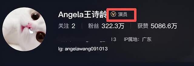 被全网禁关后，李湘的连锁反应来了！王诗龄身份遭质疑，前夫被抓（组图） - 6