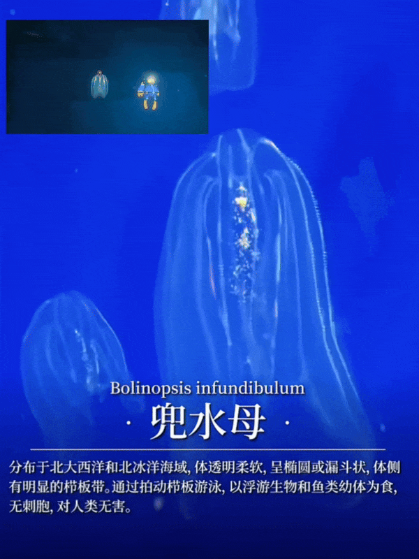 【爆笑】“冬天能把人逼疯到什么程度？”哈哈哈哈哈哈哈哈哈哈这届网友别太牛（组图） - 78