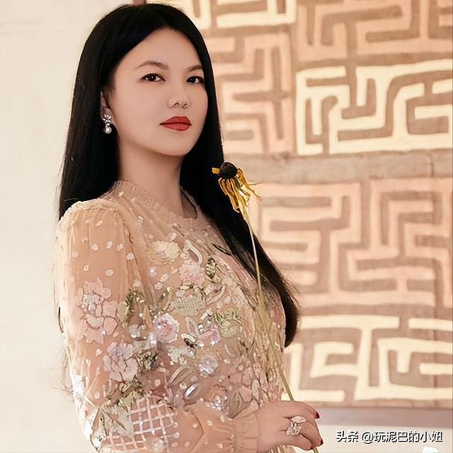 拔出萝卜带出泥！李湘全网被禁关，王诗龄身份遭质疑，多家公司注销（组图） - 29