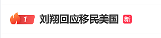 热搜第一!刘翔回应“移民美国”(组图) - 2