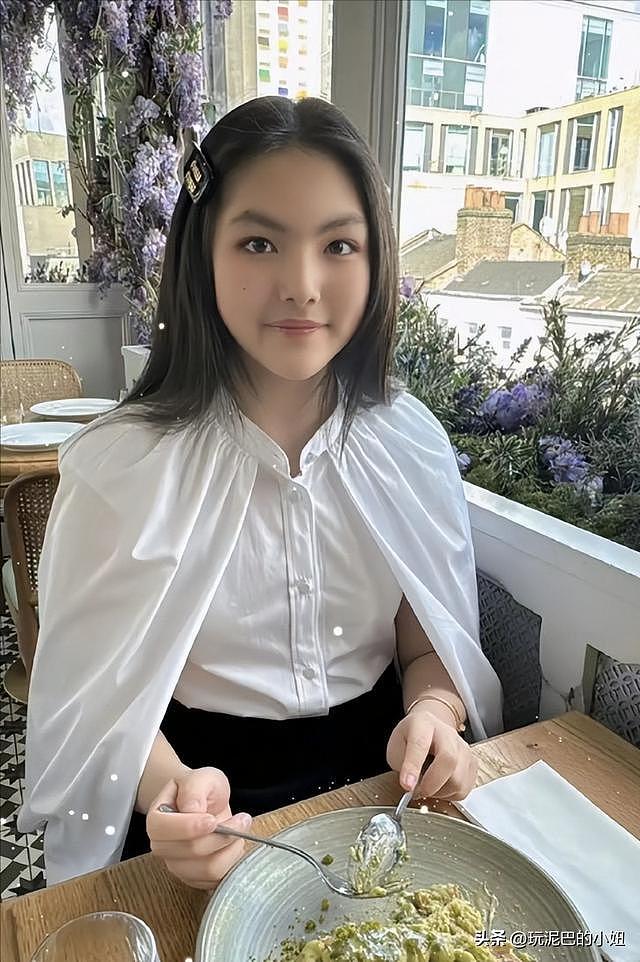 拔出萝卜带出泥！李湘全网被禁关，王诗龄身份遭质疑，多家公司注销（组图） - 31