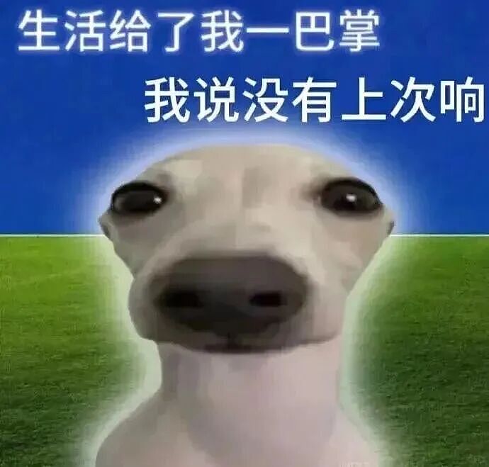 【爆笑】“和同事说话千万要小心啊！”哈哈哈哈哈哈这篓子捅太大了......（组图） - 2