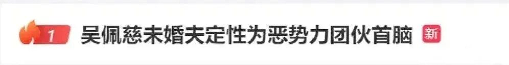 豪门梦碎！知名性感女星连生4胎仍未婚！“赌神婆婆”在美被捕，孩子爹遭全球通缉？（组图） - 23