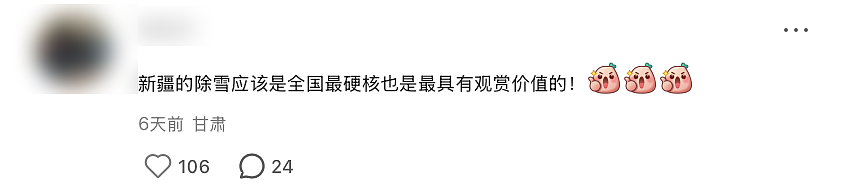 退票日本的中产,携巨款涌入新疆(组图) - 61
